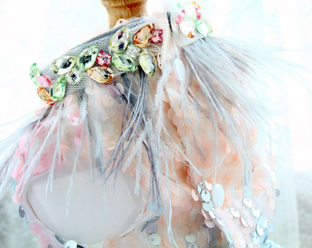 Sequin Feather Dog Princess Dress