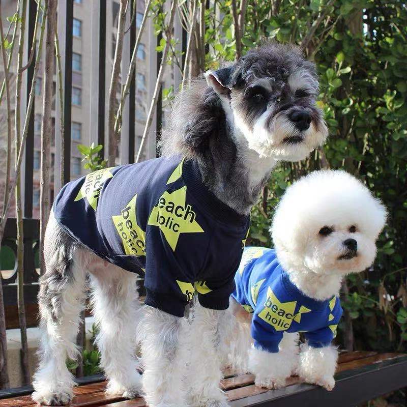 Star Print Dog Sweatshirt in Blue