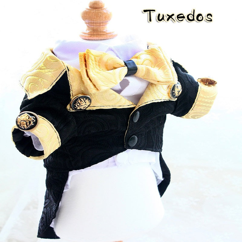 Gold and Black Royal Dog Tuxedo Shirt