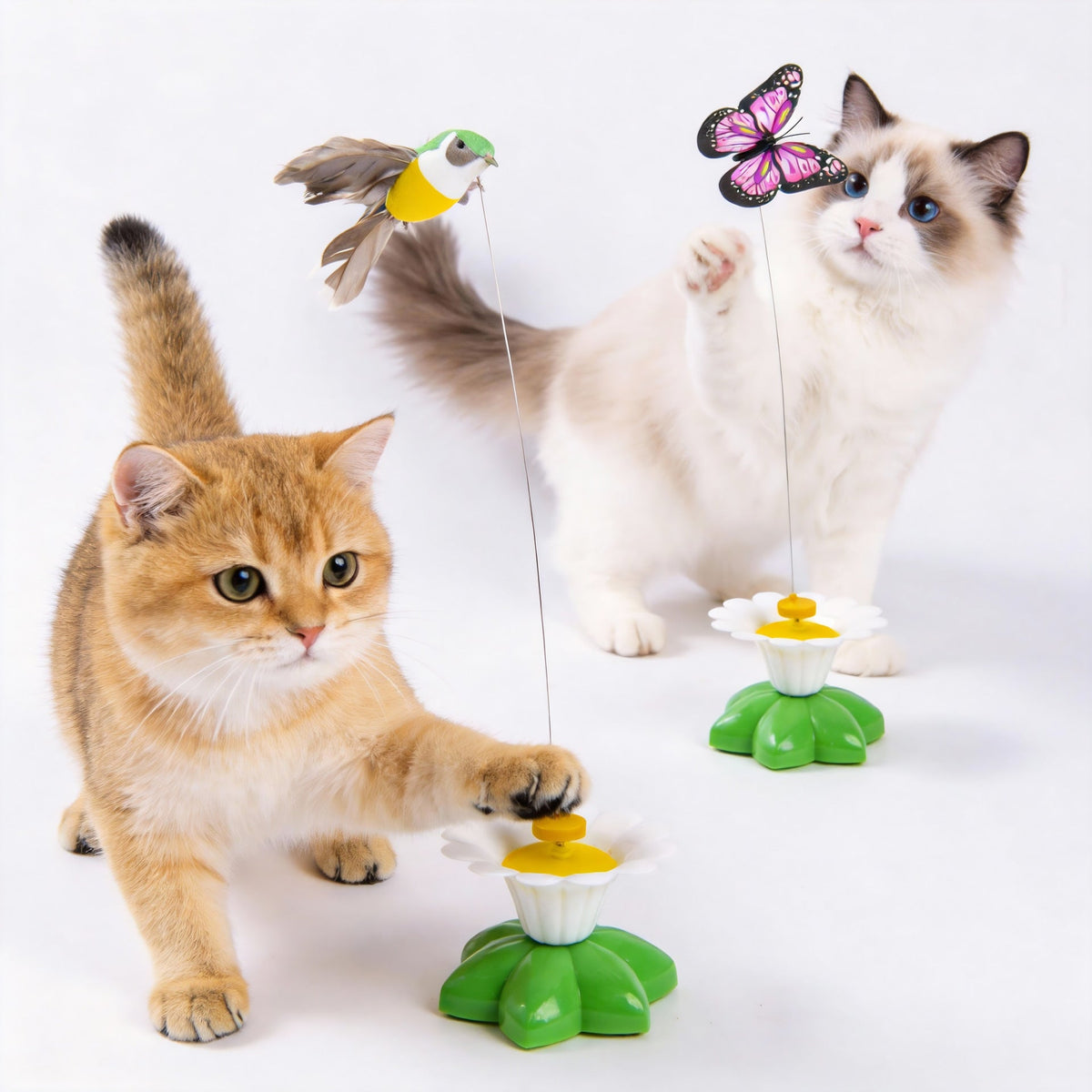 Electric Rotating Butterfly or Bird Cat Toy