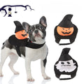 Pumpkin Rider Dog Costume