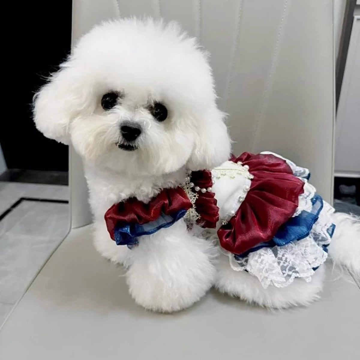 Royal Lace Tutu Dog Dress