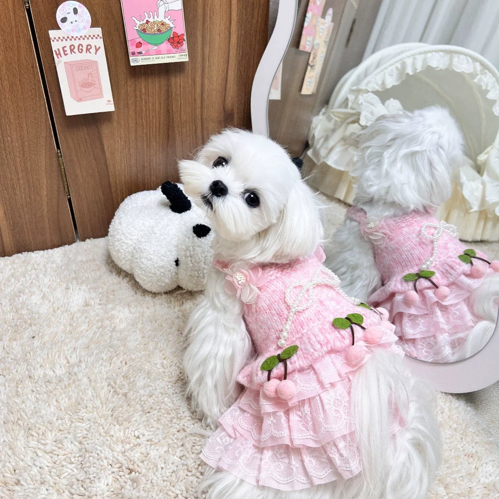 Pink Cherry Knit Dog Sweater Dress