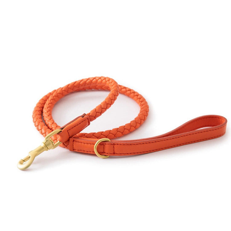Boutique Braided Leather Dog Collar + Leash Set – Eco-Friendly, Durable, Stylish