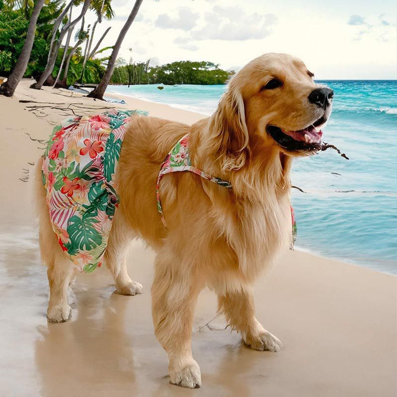 Hawaiian Dog Bikini Beach Swimwear Outfit
