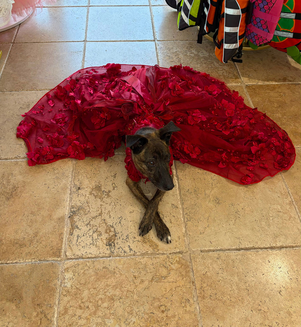 Luxury Burgundy Floral Dog Wedding Dress