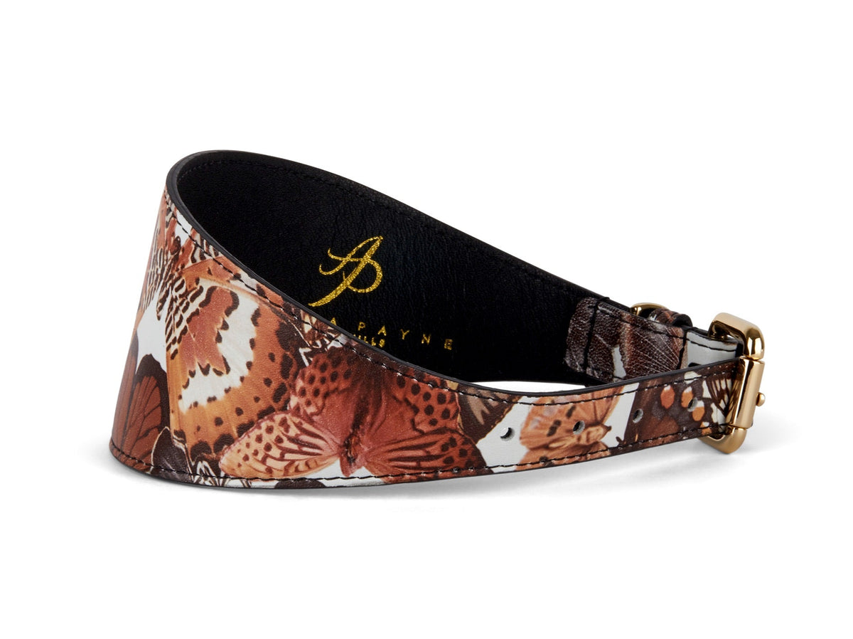 Butterfly Print Italian Leather 3” Wide Style Collar