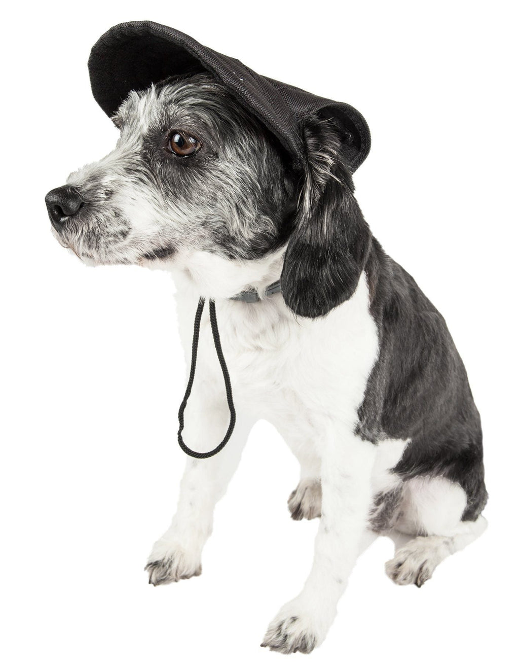 Pet Life ®  'Cap-Tivating' UV Protectant Adjustable Fashion Dog Hat Cap