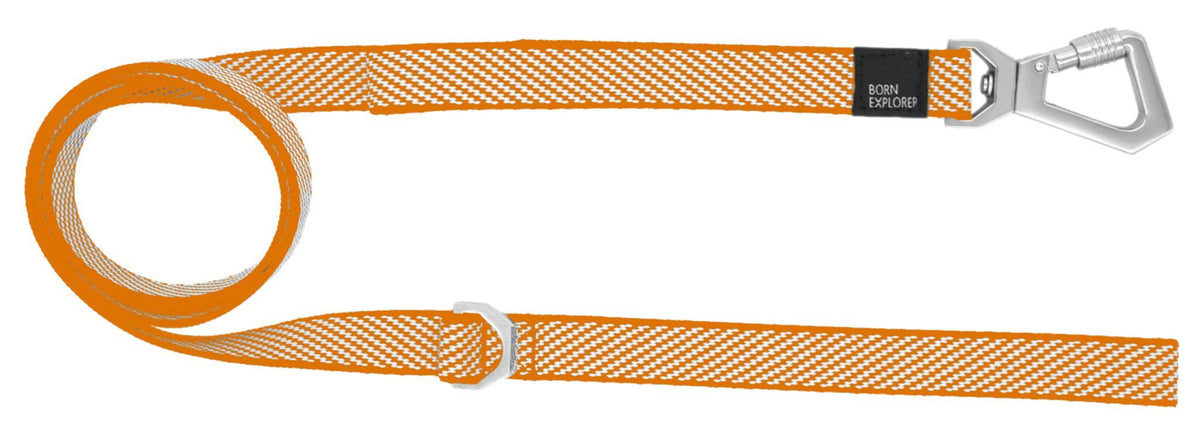 Pet Life ® 'Escapade' Outdoor Series 2-in-1 Convertible Dog Leash and Collar