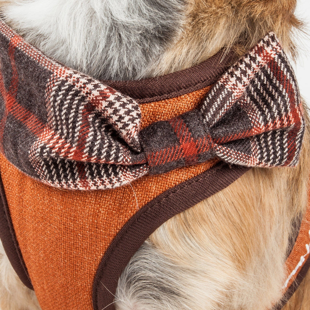 Pet Life ® Luxe 'Pawsh' 2-In-1 Adjustable Fashion Dog Harness and Leash