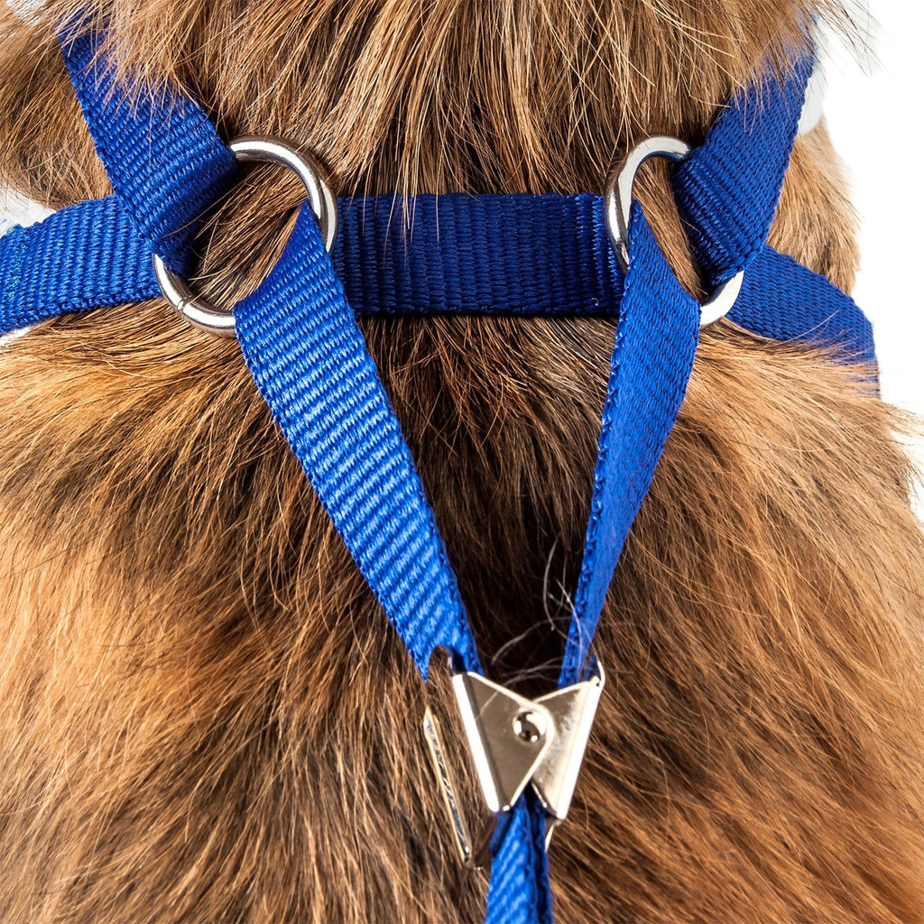 Pet Life ® Luxe 'Spawling' 2-In-1 Adjustable Fashion Dog Harness and Leash