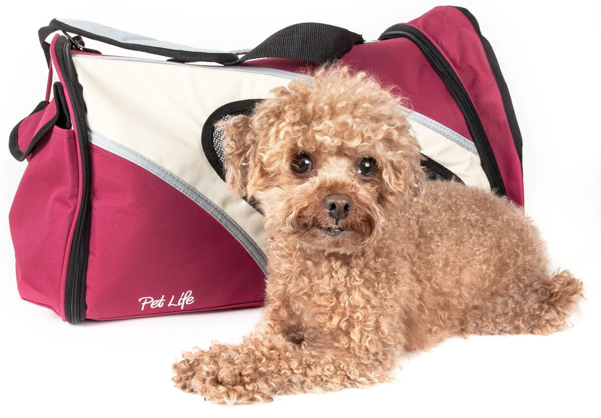 Pet Life ® 'Phenom-Air' Airline Approved Collapsible Fashion Designer Pet Dog Carrier