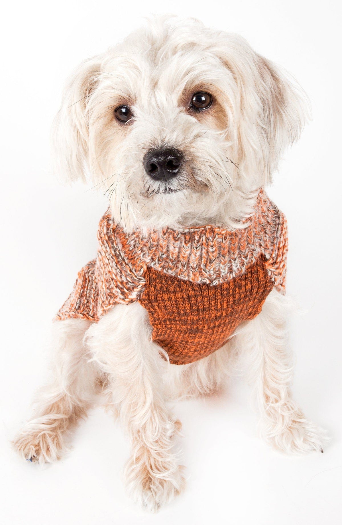 Pet Life ® 'Royal Bark' Heavy Cable Knitted Designer Fashion Dog Sweater