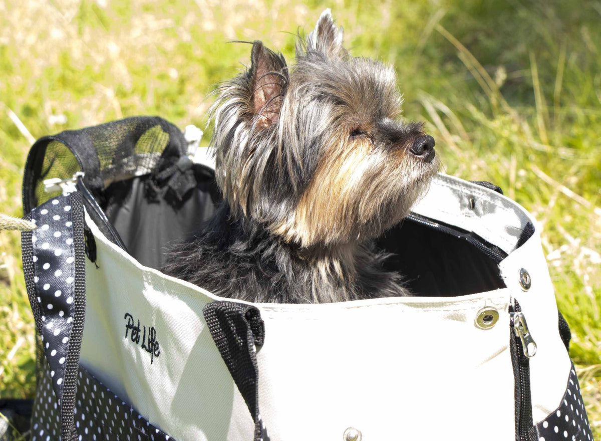 Pet Life ® 'Tote n' Boater' Trendy Spotted Designer Fashion Travel Pet Dog Carrier