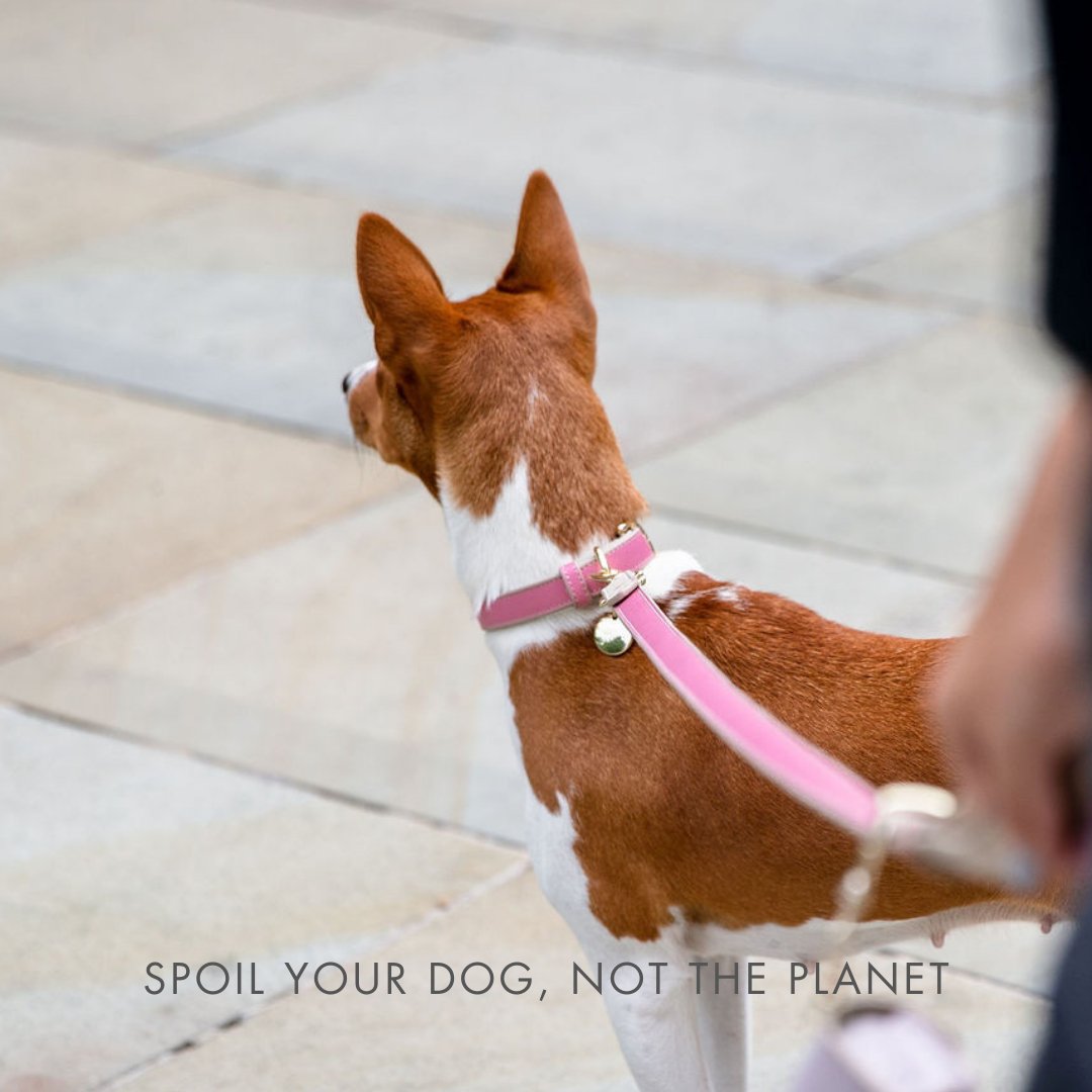 Leash 4ft - Vegan Leather - Rio