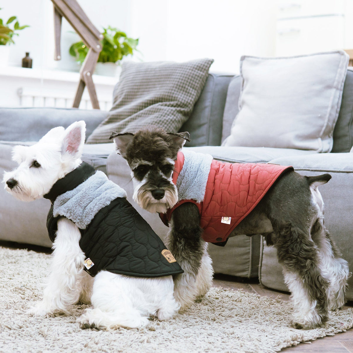 Touchdog 'Furrost-Bite' Fur and Fleece Designer Fashion Dog Jacket