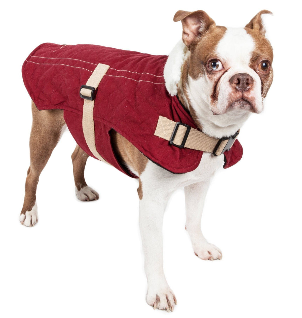 Touchdog ® Original Sherpa-Bark Designer Fashion Dog Coat
