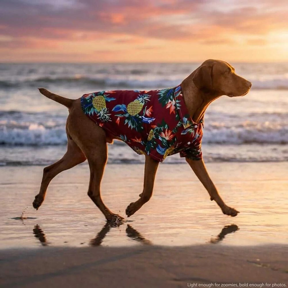 Tropical Print Dog Beach Shirt