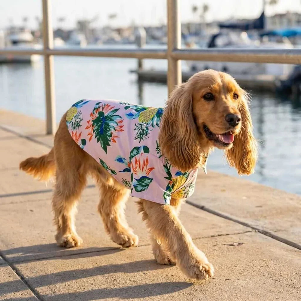 Tropical Print Dog Beach Shirt