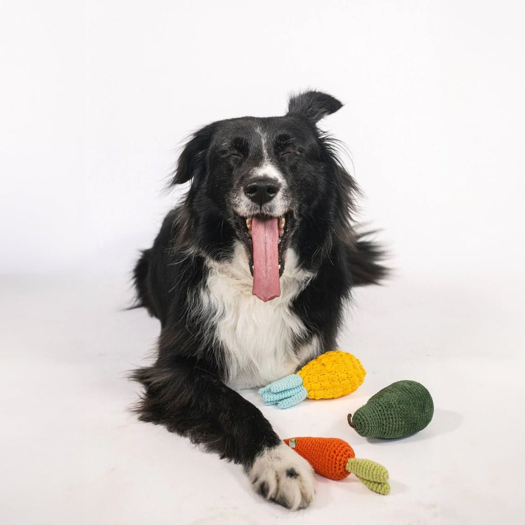 Organic Veggie Toys Bundle